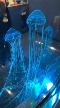 名古屋港水族館に投稿された画像（2021/10/17）