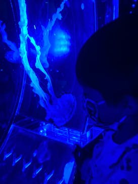 マクセル アクアパーク品川に投稿された画像（2021/10/17）