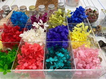 ずこうしつ〜sugamo〜に投稿された画像（2021/10/17）