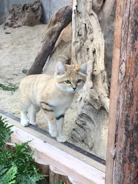 神戸どうぶつ王国に投稿された画像（2021/10/17）