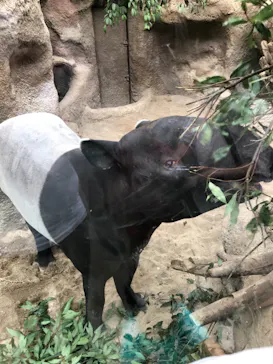 神戸どうぶつ王国に投稿された画像（2021/10/17）