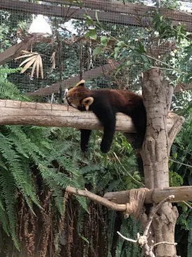 神戸どうぶつ王国に投稿された画像（2021/10/17）