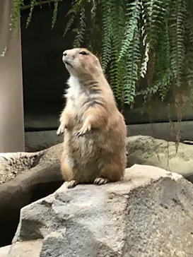 神戸どうぶつ王国に投稿された画像（2021/10/17）