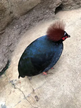 神戸どうぶつ王国に投稿された画像（2021/10/17）