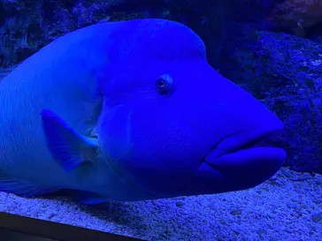 すみだ水族館に投稿された画像（2021/10/17）
