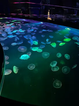 すみだ水族館に投稿された画像（2021/10/17）