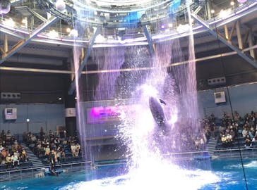 マクセル アクアパーク品川に投稿された画像（2021/10/17）