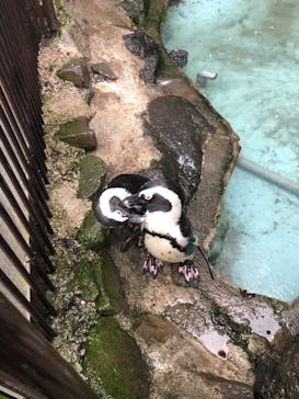 伊豆シャボテン動物公園に投稿された画像（2021/10/17）