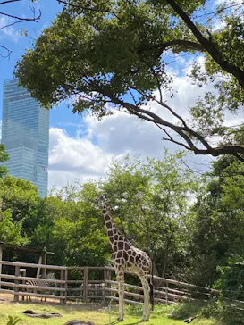 天王寺動物園に投稿された画像（2021/10/17）