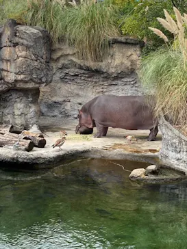 天王寺動物園に投稿された画像（2021/10/17）