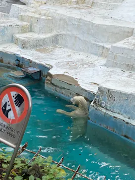 天王寺動物園に投稿された画像（2021/10/17）