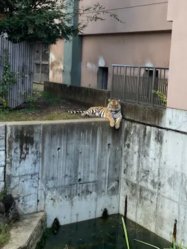 天王寺動物園に投稿された画像（2021/10/17）