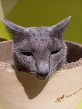 Moff animal world MARK IS みなとみらい店に投稿された画像（2021/10/17）