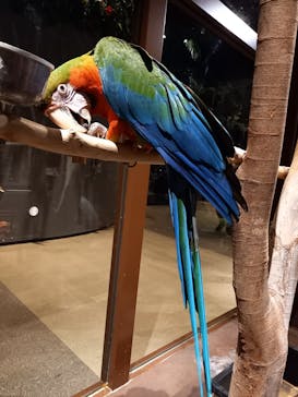 Moff animal world MARK IS みなとみらい店に投稿された画像（2021/10/17）