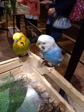 Moff animal world MARK IS みなとみらい店に投稿された画像（2021/10/17）