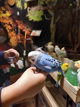 Moff animal world MARK IS みなとみらい店に投稿された画像（2021/10/17）