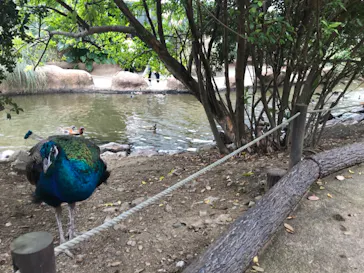 神戸どうぶつ王国に投稿された画像（2021/10/17）