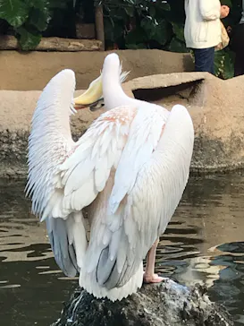 神戸どうぶつ王国に投稿された画像（2021/10/17）