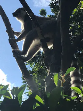 神戸どうぶつ王国に投稿された画像（2021/10/17）