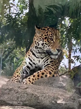 天王寺動物園に投稿された画像（2021/10/17）