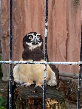 天王寺動物園に投稿された画像（2021/10/17）