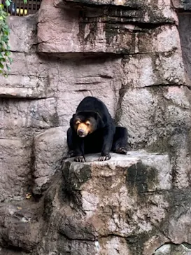 天王寺動物園に投稿された画像（2021/10/17）