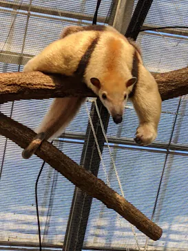 神戸どうぶつ王国に投稿された画像（2021/10/17）