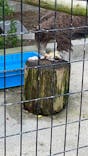 天王寺動物園に投稿された画像（2021/10/17）