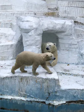 天王寺動物園に投稿された画像（2021/10/17）