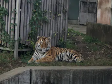 天王寺動物園に投稿された画像（2021/10/17）