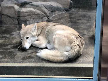 天王寺動物園に投稿された画像（2021/10/17）