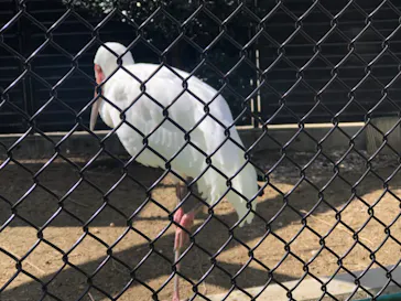 天王寺動物園に投稿された画像（2021/10/17）
