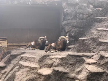天王寺動物園に投稿された画像（2021/10/17）