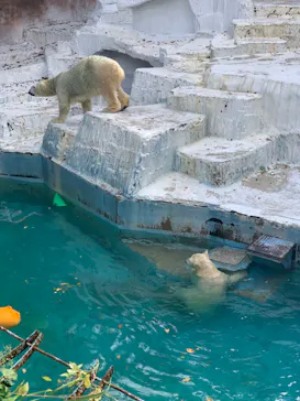 天王寺動物園に投稿された画像（2021/10/17）