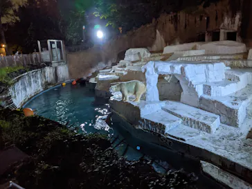 天王寺動物園に投稿された画像（2021/10/17）