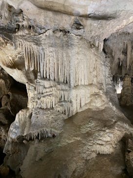 あぶくま洞に投稿された画像（2021/10/17）