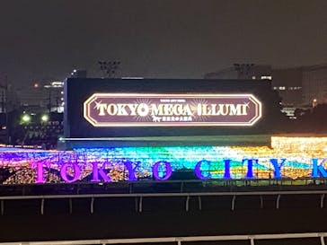 東京メガイルミに投稿された画像（2021/10/17）