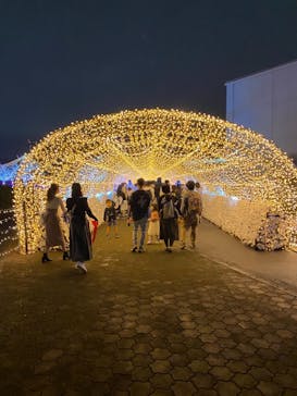 東京メガイルミに投稿された画像（2021/10/17）