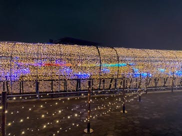 東京メガイルミに投稿された画像（2021/10/17）