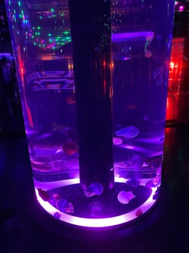 マクセル アクアパーク品川に投稿された画像（2021/10/17）