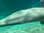 名古屋港水族館に投稿された画像（2021/10/17）