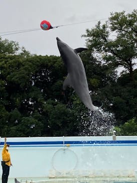 しながわ水族館に投稿された画像（2021/10/17）