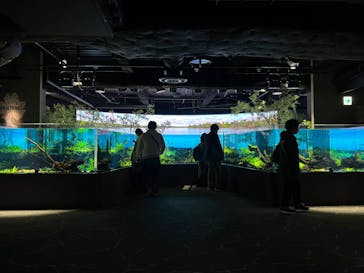カワスイ 川崎⽔族館に投稿された画像（2021/10/17）