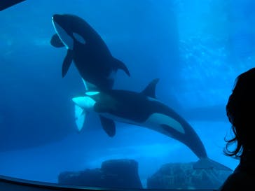 名古屋港水族館に投稿された画像（2021/10/17）