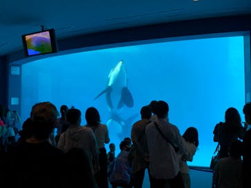 名古屋港水族館に投稿された画像（2021/10/17）