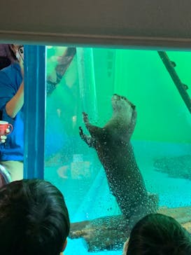 しながわ水族館に投稿された画像（2021/10/17）