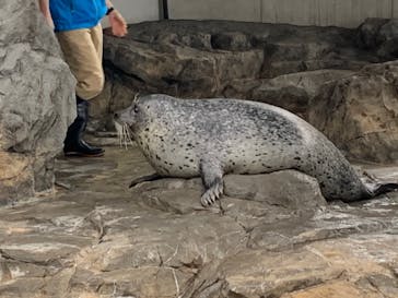 しながわ水族館に投稿された画像（2021/10/17）