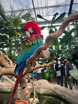 神戸どうぶつ王国に投稿された画像（2021/10/17）