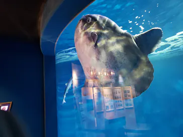 仙台うみの杜水族館に投稿された画像（2021/10/17）