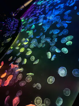 すみだ水族館に投稿された画像（2021/10/17）